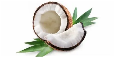 Que contient la noix de coco ?