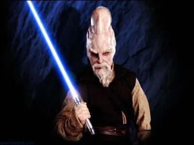 Comment s'appelle l'interprète de Ki-Adi Mundi ?