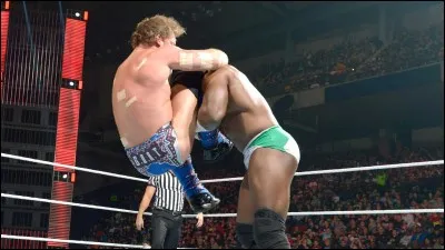 Quel est le Finisher (la prise de finition) de Chris Jericho ?