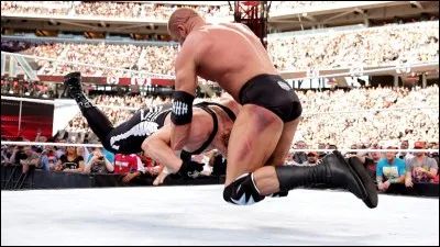 Comment s'appelle cette prise ?