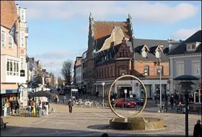 Dans quel pays se situent Hjørring et sa ville jumelée Runavík ?