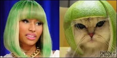 Laquelle de ces chansons a-t-elle chanté ?