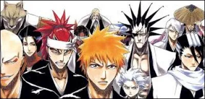 Comment ce manga s'intitule-t-il ?