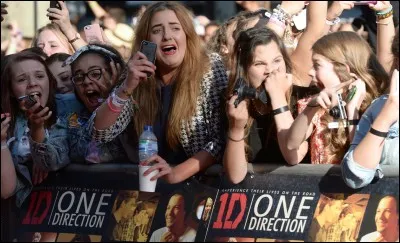 Comment sont appel&eacute;s les fans des One Direction ?