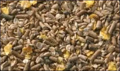 Donnez-moi l'ordre !