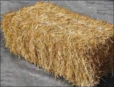 Je suis coupé(e), sec (ou sèche) et je proviens des prairies. Je suis...