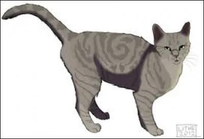 Par qui est tuée Plume Blanche ?