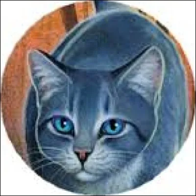 Comment meurt Rivière d'Argent ?