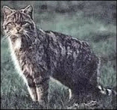 Par qui est tuée Lac de Givre ?