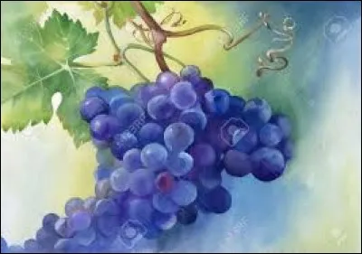 Immigration des Juifs de la Diaspora vers Israël :