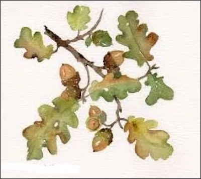 En physique, unité de dose de radiation absorbée :