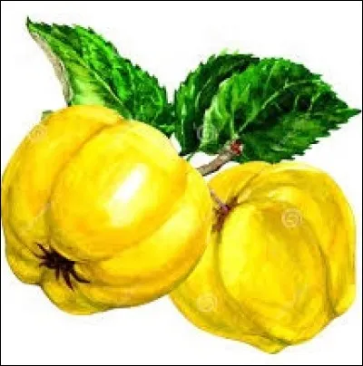 Dans le midi de la France, chenal qui relie une étendue d'eau à la mer :