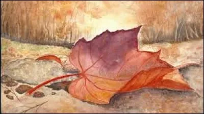 Jeu de cartes suisse, proche de la belote :