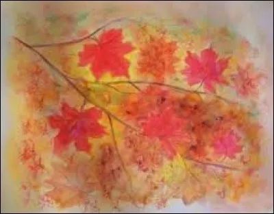 Vêtement de dessus des citoyens romains :