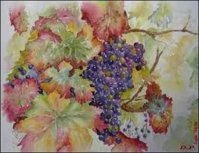 Poisson des récifs coralliens :