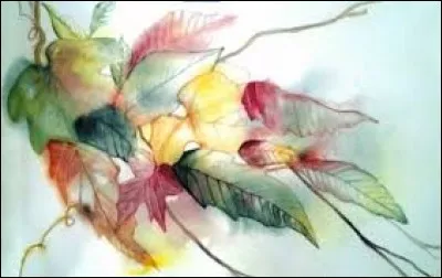 Vent violent d'ouest soufflant sur le bas Languedoc :