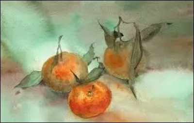 Complémentaire du yin :