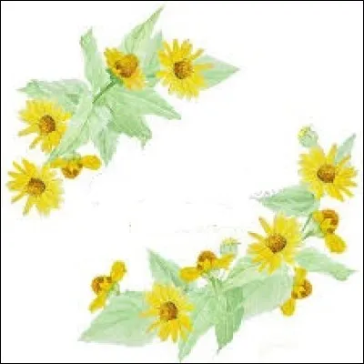 Géologie. Relief volcanique en forme de colonne verticale :