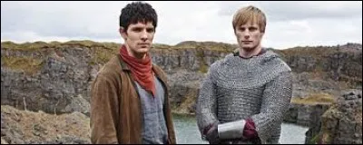 Merlin et Arthur sont des :
