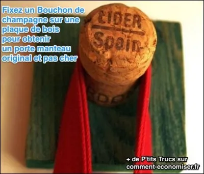 À quoi sert le bouchon sur l'image ?