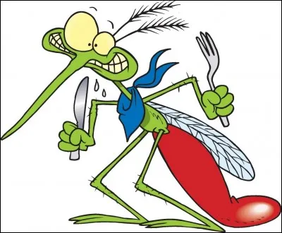 La nuit, je viens vous piquer votre sang. Quel insecte suis-je ?