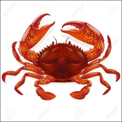 De quelle famille le crabe fait-il partie ?