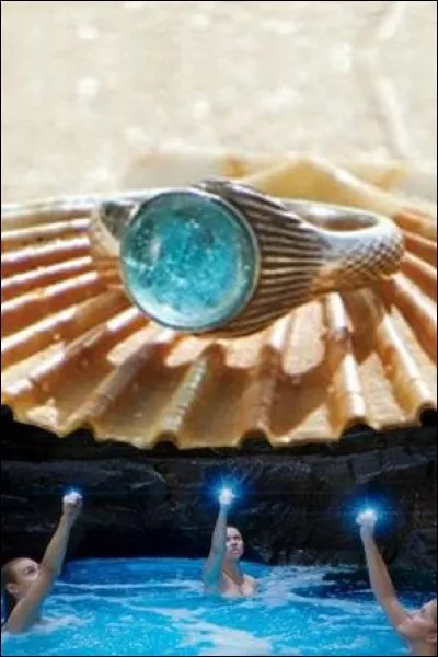 Comment ça s'appelle ?