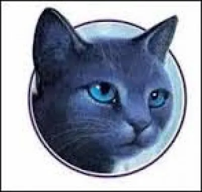 Comment meurt Nuage de Fumée ?