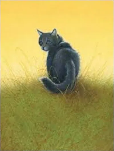 Comment meurt Museau Cendré ?