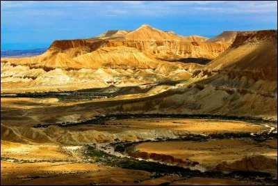 Quel pays, bordé par la mer Méditerranée à l'Ouest, la mer Morte à l'est et la mer Rouge au sud, abrite le désert du Néguev ?