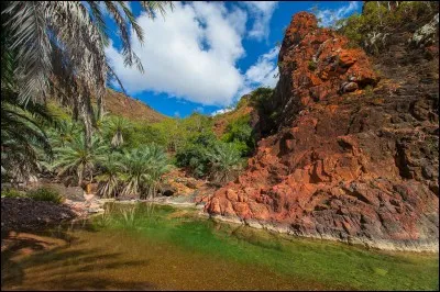 A quelle pays l'île de Socotra est-elle rattachée ?