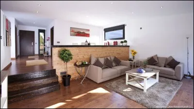 Comment éliminer le plus possible les mauvaises odeurs de la maison ?