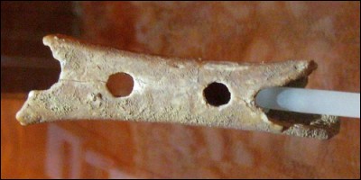 Cet objet est le plus ancien instrument de musique du monde (il date d'environ 45 000). De quoi s'agit-il ?