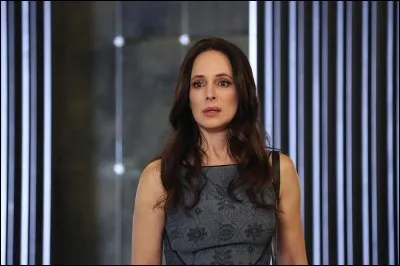 De quel personnage de fiction s'inspire en fait cette série ?