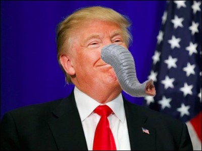 Qui est ce candidat américain à la Trump d'éléphant ?