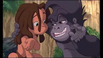 Qui double Tock dans Tarzan ?
