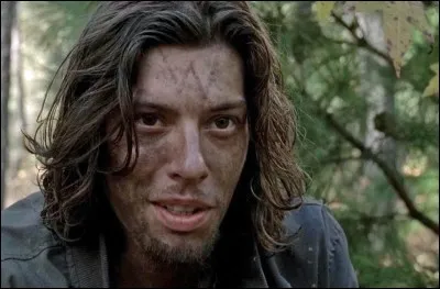 Que représente le W sur le front d'Owen ?