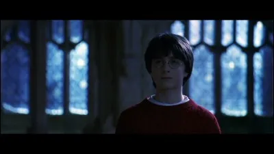 Que voit Harry dans le miroir du Risèd ?