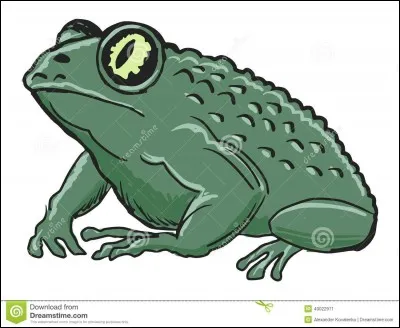 Comment s'appelle le crapaud de Neville ?