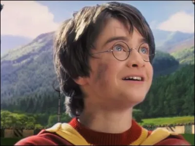 Harry a deux fidèles amis. Lesquels ?