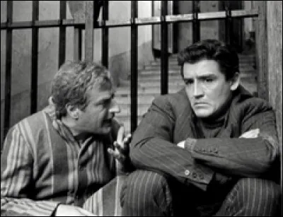 Ce film italien de 1958, avec Vittorio Gassman et Claudia Cardinale, a pour prétexte l'histoire d'un boxeur minable et de petits malfrats. Quel est le titre français de ce film ?