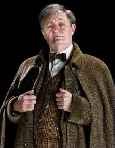 Qui est Horace Slughorn ?