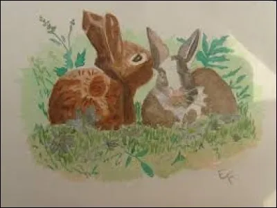 Torrent dans les Pyrénées :