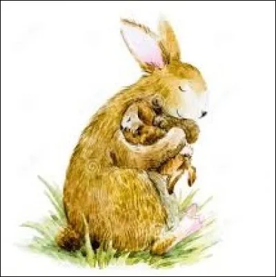 Demi-dose de whisky :