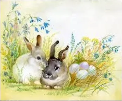 Le dhole, chien sauvage d'Asie :