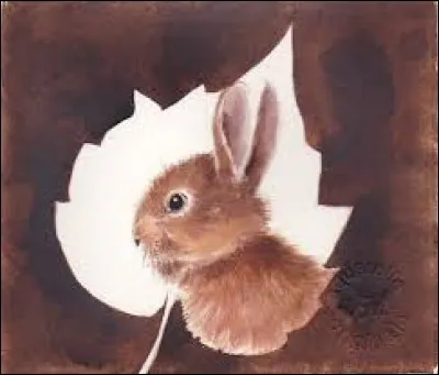 Échange direct de biens ou de services sans l'intermédiaire de la monnaie :