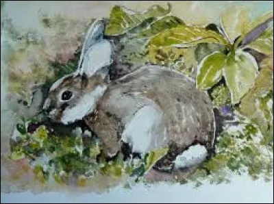 Poisson des mers froides du Nord, dont les ufs ressemblent à du caviar :