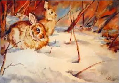 Couleur bleu-vert, complémentaire du rouge :