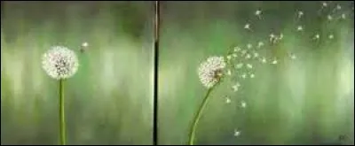 Que signifie "Sentir passer le vent" ?