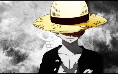 Qui était la mère de Luffy ?